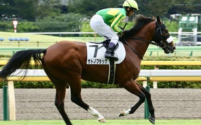 【次走】サトノフラッグは戸崎圭太騎手とのコンビでセントライト記念へ