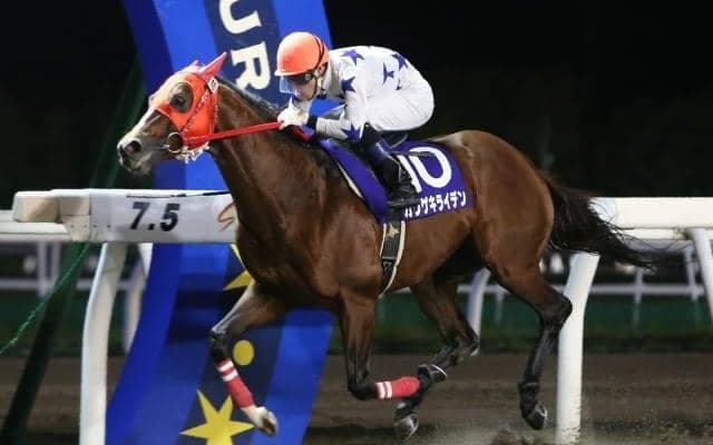 【門別競馬情報】盛夏の門別ナイターも残り2夜。来季は「超快適ナイター」を楽しんでいただけますようにーー。「一般社団法人東京馬主協会特別」/地方競馬情報
