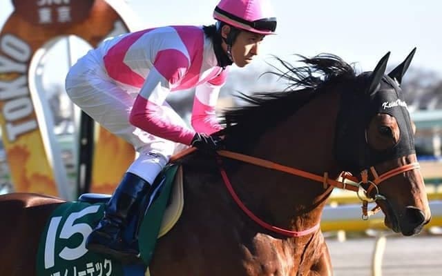 【次走】ケイアイノーテックは富士Sへ、鞍上は津村明秀騎手