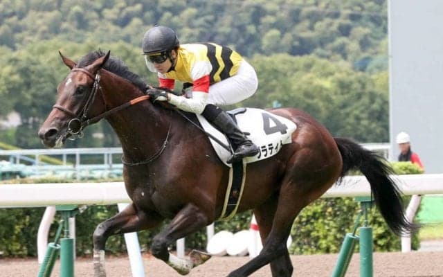 【新馬/小倉5R】グラティトゥーがデビューV！ディープモンスターは放馬で除外