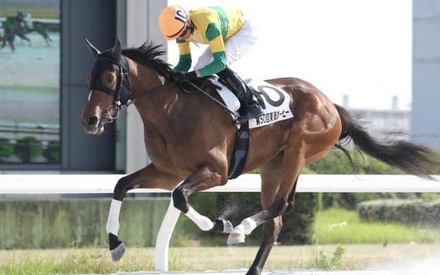 【岐阜金賞予想】ニュータウンガール、地元では負けられない/NARレース展望