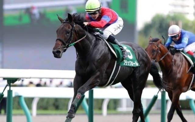 ブラックホールは菊花賞へ直行