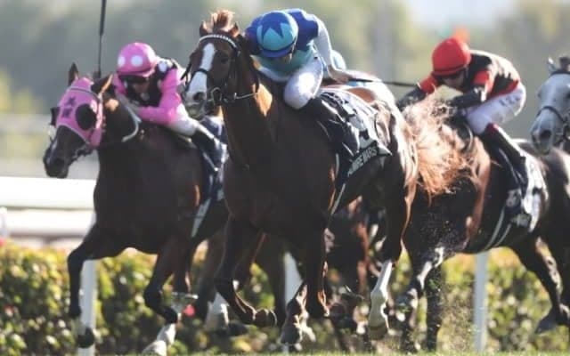 アドマイヤマーズはスワンSからマイルCSへ