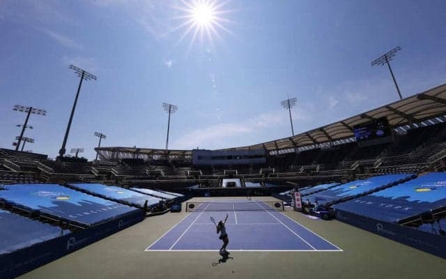 無観客のはずが。テニス大会に迷い込んだ意外で可愛い観客