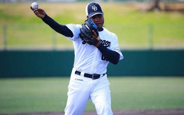 元中日エルナンデスが現役引退　「3D」の1人として2015年に138試合に出場