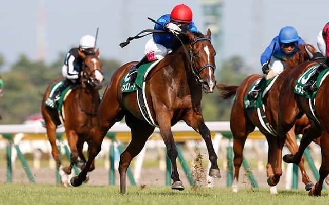 【新潟2歳S予想】 今年はディープインパクト産駒の1強!? 血統評論家がヒモ穴候補として狙いたい3頭とは？/JRAレース展望