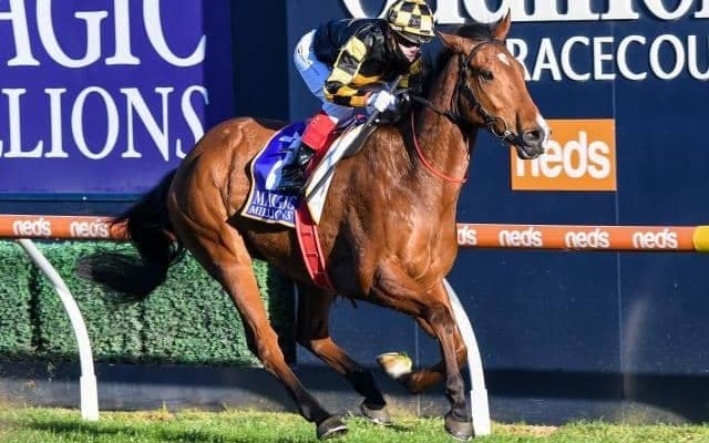 【豪州競馬】G1メムジーSは一番人気のベヒーモスが制覇、G3マクニールSにはロードカナロア産駒が出走/海外競馬レース結果