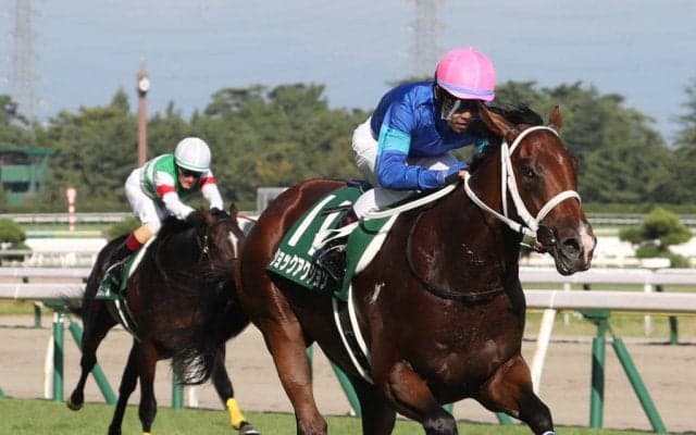 【新潟2歳S】ショックアクションが重賞初制覇