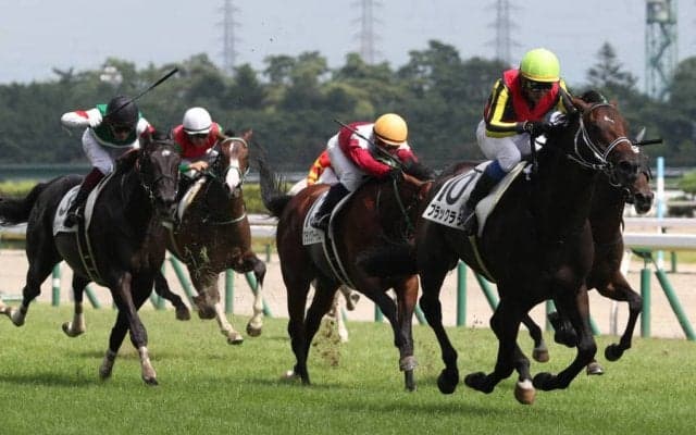 【新馬/新潟5R】ブラックタイド産駒 ブラックラテが2馬身差完勝！