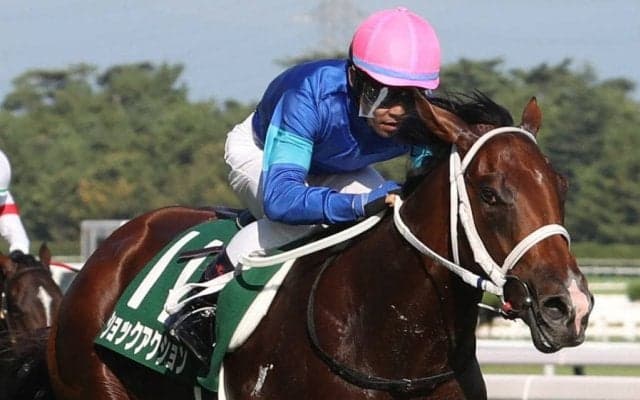 【新潟2歳S】戸崎「楽しみな馬」ショックアクションが重賞初V