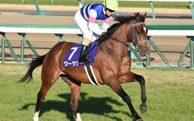 【新潟記念ハンデ確定】日本ダービー8着のワーケアは53.0kg、大阪杯4着のカデナは58.0kg