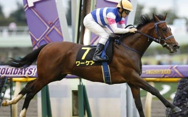 【新潟記念見どころ】3歳馬ワーケアが重賞初制覇を狙う