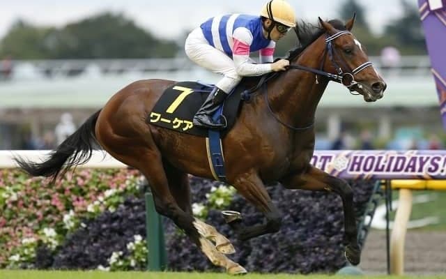 【新潟記念】ワーケア　古馬との初対決を制し秋への弾みを
