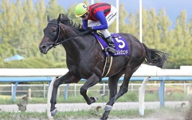 【金沢・イヌワシ賞結果】北海道のリンノレジェンドが逃げて大差圧勝！久々の重賞V