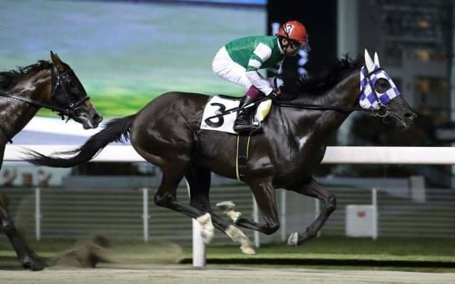 【スパーキングサマーC予想】ハイレベルな南関マイル路線!混戦を断つのはどの馬か!?/NARレース展望