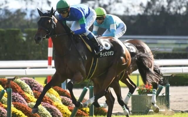 ディメンシオンが引退、重賞で3度の入着