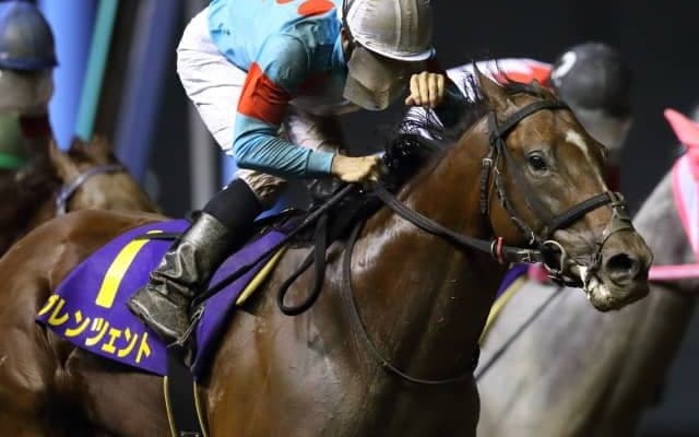 【スパーキングSC】重賞Vグレンツェント、南部杯かサンタアニタTを視野、藤田輝信調教師「伊藤騎手が代打で上手く乗ってくれて…」