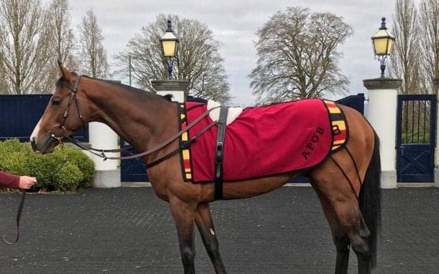 【海外競馬】THE EUROPEAN JOURNAL