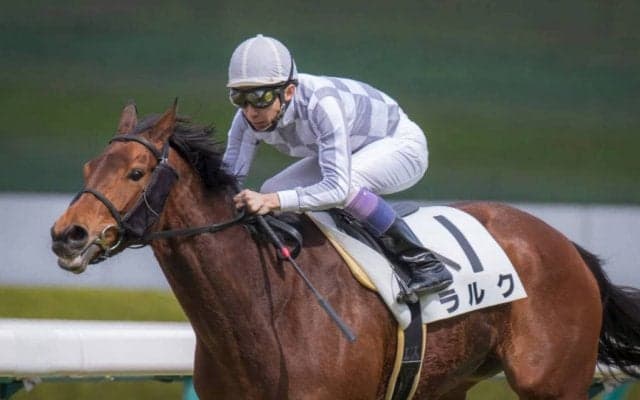 【海外競馬】ラルクと当歳