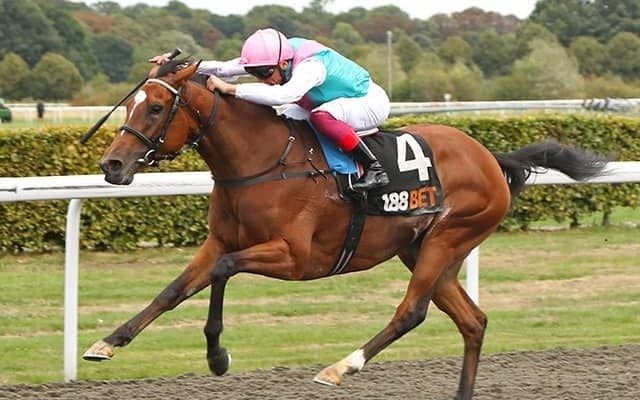 【英G3・セプテンバーS】凱旋門賞3勝目へ向けエネイブル出陣、斤量61kgも断然人気