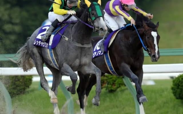 【不来方賞】東北優駿の優勝馬フレッチャビアンカは2枠2番、同2着ピアノマンは7枠7番