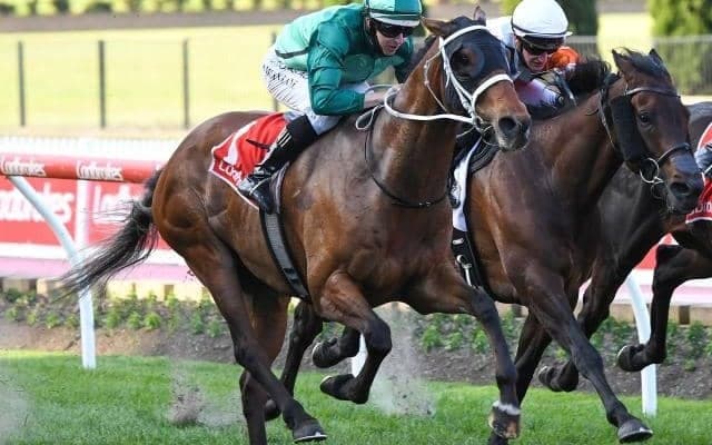 【豪州競馬】春のG1シーズンへ向け各地で前哨戦が開催/海外競馬レース結果