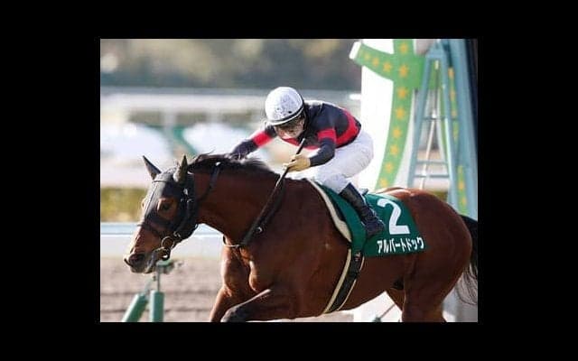 まもなく初陣を迎えるエイスオーシャン「長くいい脚を使えるタイプ」