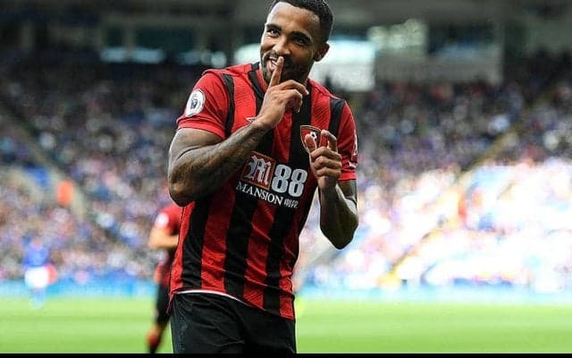 ニューカッスル、カラム・ウィルソンを獲得!　移籍金は2000万ポンドに!