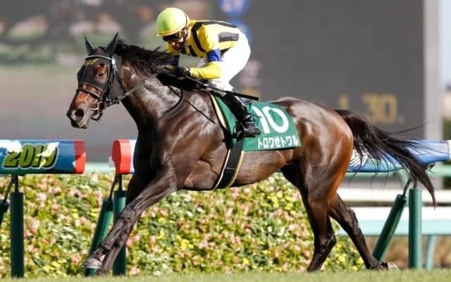 【京成杯AH】フルゲート16頭に19頭の登録　2頭は他レースにも登録/出走馬決定順