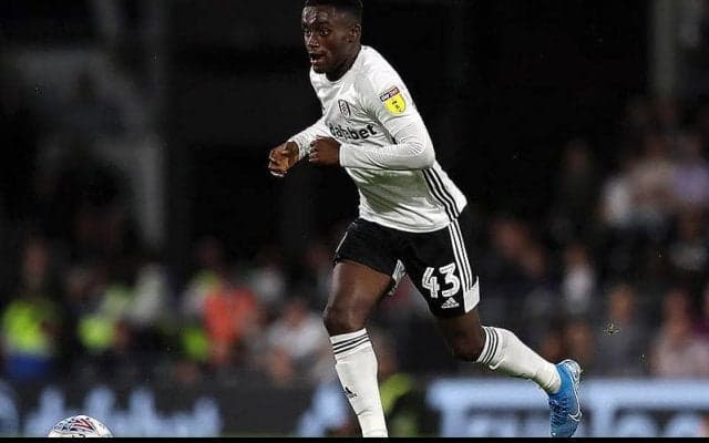 フルアム、S・セセニョンがブリストルへレンタル!　スパーズ在籍ライアンとの双子対決はお預けに…