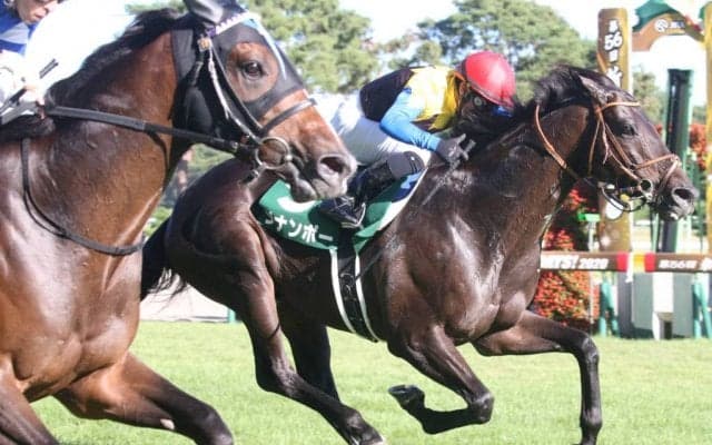 【新潟記念】大魔神ブラヴァスがゴール前の大接戦を制する