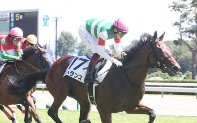 【新馬/新潟5R】ハービンジャー産駒 レベランスが大外一気で突き抜ける