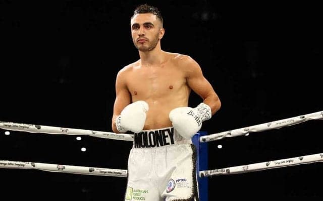 井上尚弥戦は「世界で最も困難な任務」　マロニー母国メディアは早くも悲観的