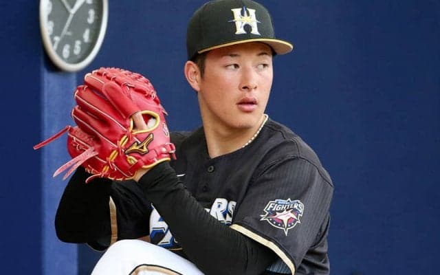 11日の公示　日本ハム吉田輝が今季初昇格　西武平井、楽天黒川抹消、阪神は6選手入れ替え