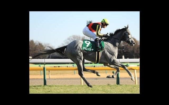 穴党記者は知っている--京成杯AHで波乱を起こすのはどんなタイプか