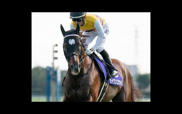 中京で行なわれるセントウルＳ。同舞台を得意とする古豪の一発がある