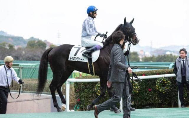 良血タイミングハートは1勝クラスを目指して続戦