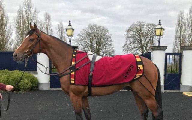 【海外競馬】ジャパンが愛チャンピオンSに出走！オブライエン師「万全の状態」