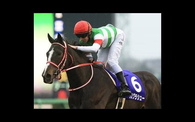 リスグラシューの全弟クローヴィス「姉とは違い、力強くパワーがある」