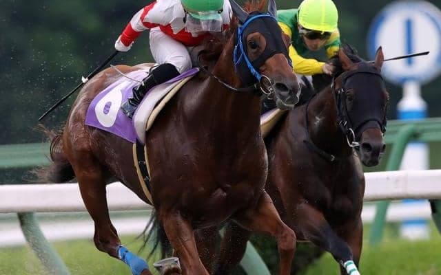 【青藍賞予想】ここでは負けられないヒガシウィルウィンの1強か!?/NARレース展望