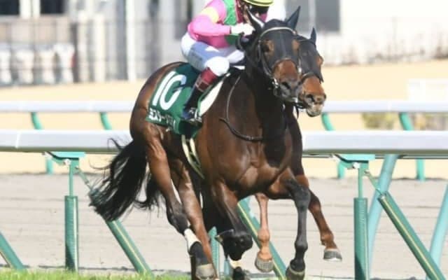 【セントウルS予想】得意舞台でミスターメロディの復活Vに期待