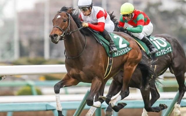 【本日の注目ポイント】中山で京成杯AH、中京でセントウルS