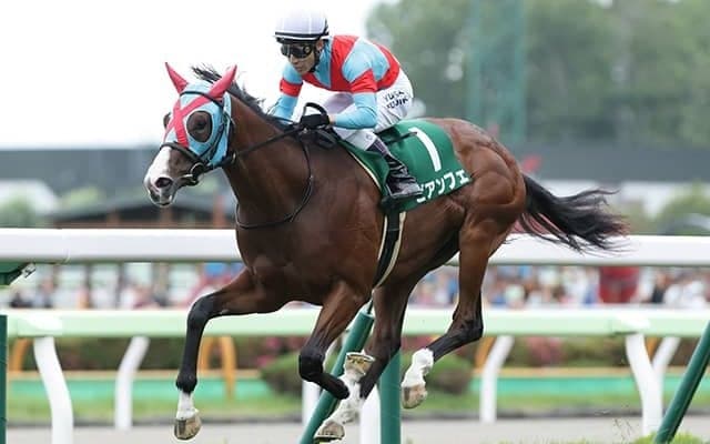 【セントウルS予想】 スプリント路線の新星に過剰な期待は禁物!? 厩舎データから弾き出した今週の注目馬は？/JRAレース展望