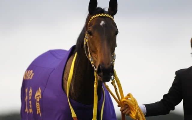 ブエナビスタ・テイエムオペラオーのメモリアル競走を開催　3日間開催の最終日は「JRAアニバーサリー」