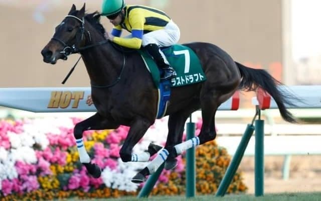 【ケフェウスS】ラストドラフトは57kg、ヒンドゥタイムズは55kg　芝2000mの新設オープン