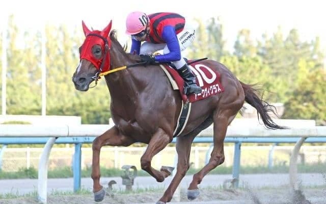 【秋桜賞】北海道のアークヴィグラスは2枠2番、大井のサラーブは7枠8番