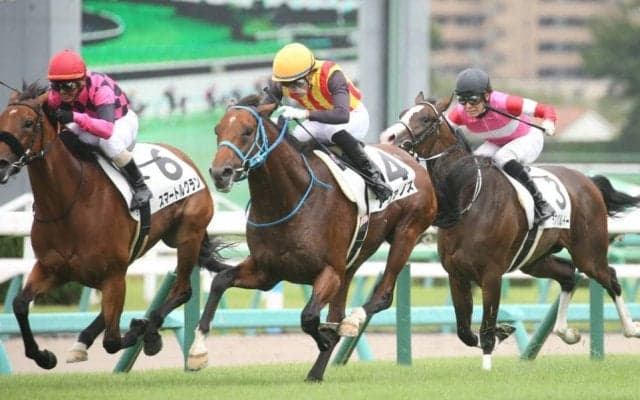 【新馬/中山5R】ダイワメジャー産駒 アヴァノスが差し切り！