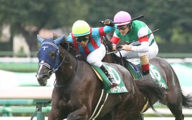 【紫苑S】マルターズディオサが抜け出す！重賞2勝目