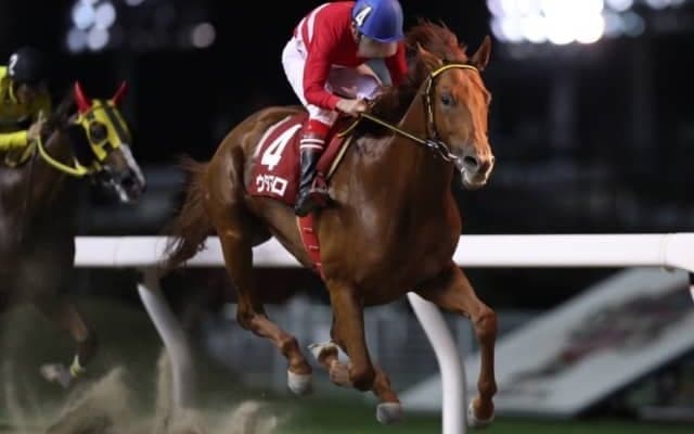 【戸塚記念】インペリシャブル・ウタマロら重賞ウィナー出走の好メンバー/見どころ