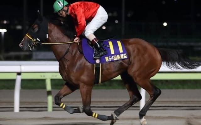 【戸塚記念予想】好メンバー揃いで激戦必至の3歳馬限定重賞!!/NARレース展望